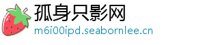 孤身只影网